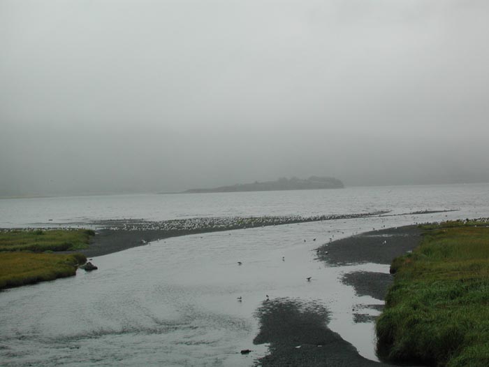 Kodiak Beach 3.jpg 35.2K